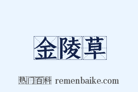 金陵草是什么意思的图片